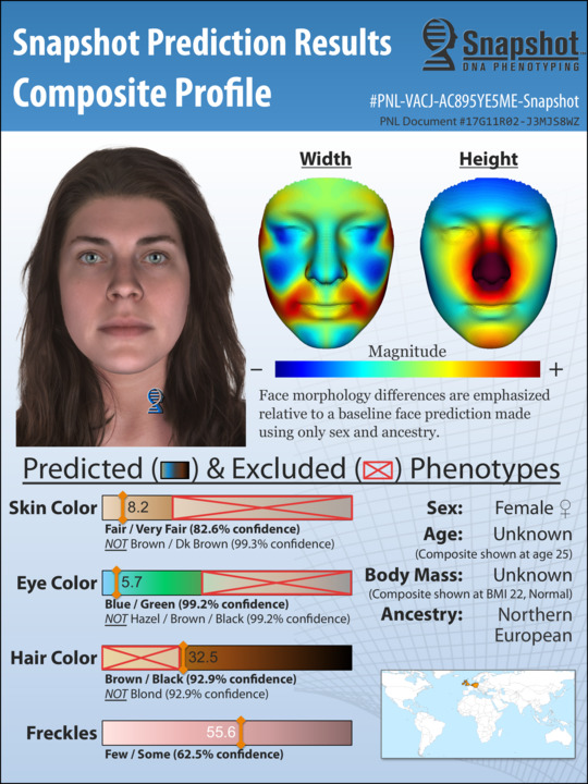 Sample Snapshot Composite