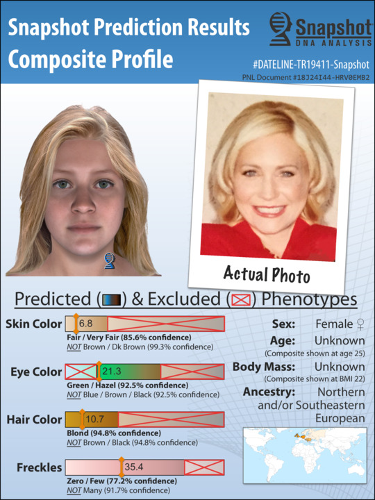Example Snapshot Composite